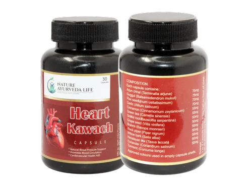 Heart Kawach - Image 2